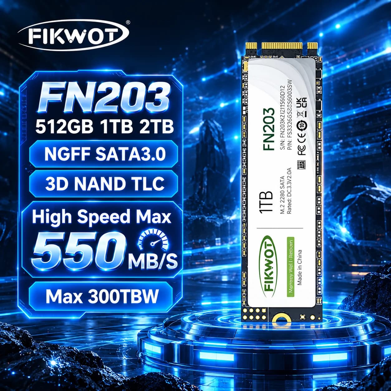 SSD Fikwot FN203 256GB