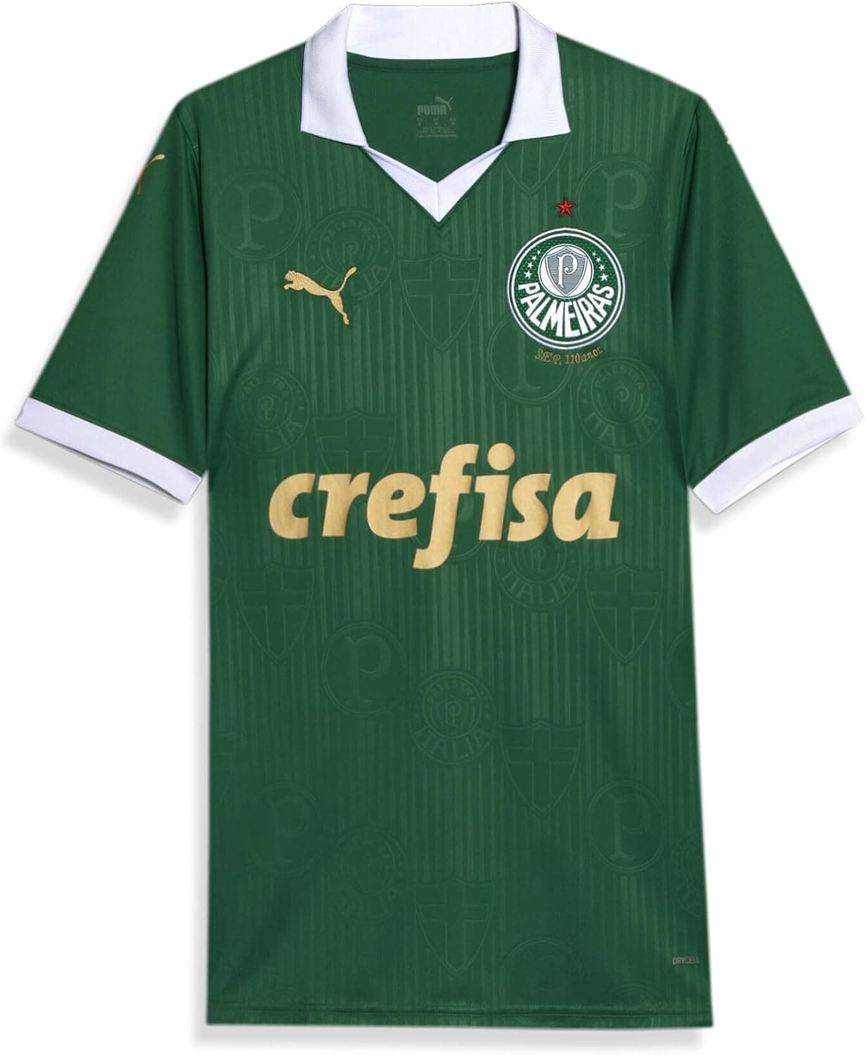 Camisa PUMA Palmeiras 1 HOME Torcedor 24/25 - Verde, GG