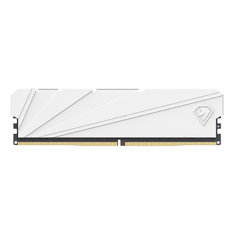 Memória RAM Netac 16 GB (2x8 GB) DDR4 2666 MHz CL19