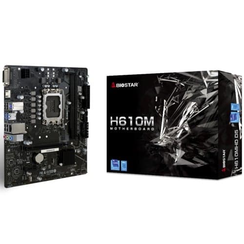 Placa Mãe Biostar H610MHD D5